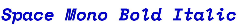 Space Mono Bold Italic 字体